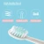 Import Sonic Toothbrush Electric Replacement Adult Toothbrush Heads Set Portable Protective Clean Ultrasonic Electric Tooth Brushes from China
