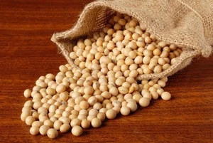 Soybean fiber in food additives,soybean fiber fabric