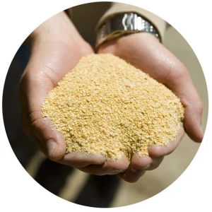 Soybean Meal 46% Protein