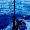 Speed Adjustable Japan Sword Tuna Marlin Offshore Sea Fishing Saltwater Electric Fishing Reel for sale