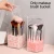 Import Spring sign most popular acrylic makeup display rack makeup brush holder acrylic from China