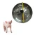 Import Stainless Steel Animal pig piglet Feeding trough feeders For farm Equipment from China