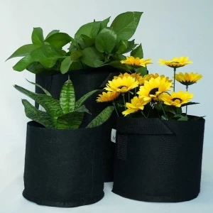 Suitable for all media type 3 gallon fabric grow bag