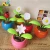 Import Sunshine dancing flower toys auto car solar powered dancing flower solar dancing 2 green-leaves flower design headbands// from China