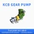 Import supply high quality diesel pump  explosion proof Diesel gear pump industrial Diesel fuel gear pump from China