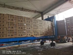 the whole pushing type container loading equipment