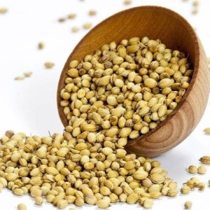 Top Quality Pure 100% Coriander Seeds wholesale Spices Herbs & Condiments Dry Coriander Seeds Coriander Seeds Bulk Price