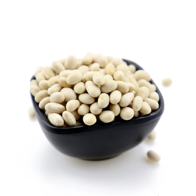 Top Quality White Kidney Beans
