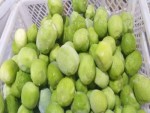 Top Sale Sweet Kiwi Fruit Peeled Frozen Kiwi IQF Export Factory Price Wholesale Egypt Kiwi Fruit Premium Grade