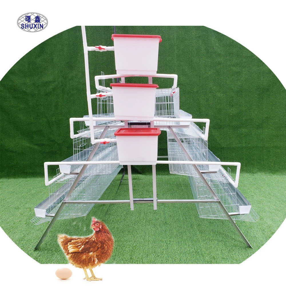 Uganda fram market egg  design animal cages chickens