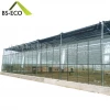 Venlo Type agriculture greenhouse glass greenhouse