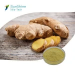 Water soluble ginger powder thailand fresh rhihzoma zingiberis extract