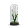 White Flower led light glass dome resin base for decoration