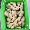 Whole Fresh Ginger IQF Organic Frozen Foods No Addition Cubes Mashed Ginger Chopped Ginger Puree Vacuum Packed Top Grade Cheap