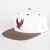 Import Wholesale custom high quality style Hip Hop basketball caps Fitted Cap flat brim plain custom snapback hat from China
