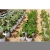 Import Wholesale durable non-woven plant nursery garden planting bag from China