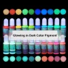 Wholesale Hot Sales Osbang 15 colors 10ml/bottle Fluorescent Color Pigment Glow In Dark Liquid Pigment for epoxy resin DIY Craft