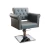 Import Wholesale Modern Hydraulic Black Reclining Unique Salon Styling Chairs from China