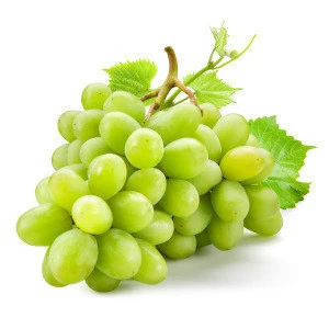 Wholesale Perfect Pact Fresh Table Grapes Green sourced from family farms in the USA