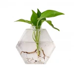 Wholesale Quality Proper New Type home decor glass vase cheap flowers Hexagons