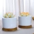 Import Wholesale Round White Mini 2.95 inch Ceramic Flower Planter Pot with Bamboo Tray from China