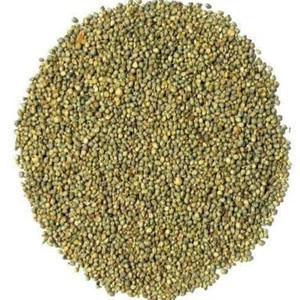 Yellow millet/Red millet For Sale