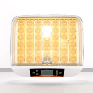 YZ-56A Good price automatic mini incubator hatchery egg incubator for sale