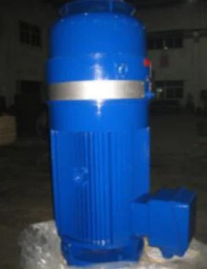 NEMA IEC standard deep well pump vhs motor