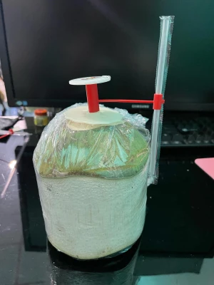 Easy Open Thai Fresh Young Coconut Nam Hom