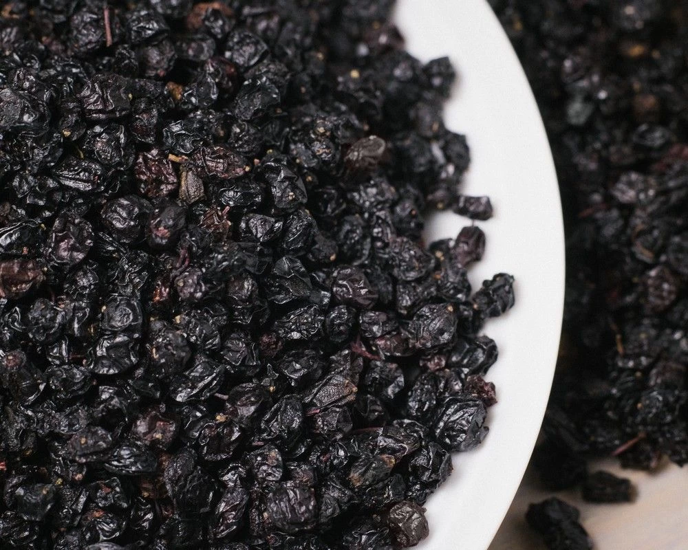 Buy Elderberry Dried from Zhivana Organics LLC, Ukraine