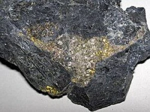 rare precious metal Palladium