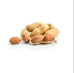 Good Quality peanuts 100% Natural Peanut Peanut Without Shell