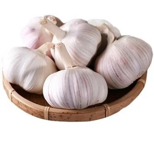 new crop normal white garlic red garlic in 10kg mesh bag
