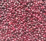 Red Kidney Beans
