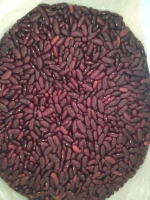 Dark Red Kidney Beans