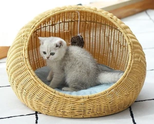 Cat Wicker Bed
