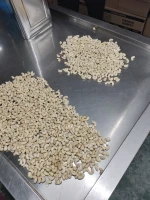 current crop cashew kernels