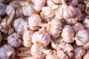 Wholesale Fresh Garlic – Farm Fresh, Peeled & Bulk Packaging Available