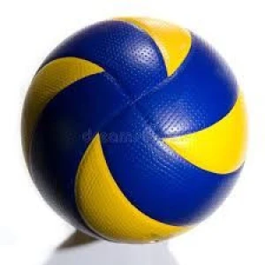 Volley ball