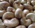 Import Enriched, Heart Healthy Raw Cashew Nuts in Best Discounts from Nigeria