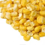Yellow and White corn / Maize