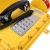 Import Waterproof Telephone with Siren and Loudspeaker Stainless Steel from China