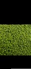 Mung Beans