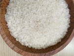 Premium Quality JAPONICA RICE 5% Broken Vietnamese rice Origin Ready To Export