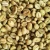 Import Sumatra Robusta Coffee Beans Temanggung from Malaysia