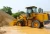 Import XCMG Official Payloader LW330KV China Brand 4 Ton Small Wheel Loader for Sale from China