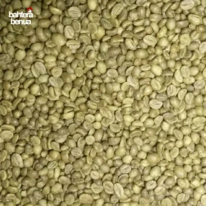 Sumatra Robusta Coffee Beans Temanggung