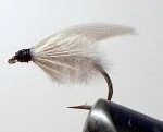 Good Quality Whitemoth Fish Fly