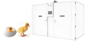 SINGLE STAGE 12096 INCUBATOR HATCHER FOR DUCK