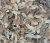 Import Seashell Murex Operculum / shell bone making incense from China
